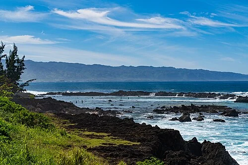 Shark's Cove